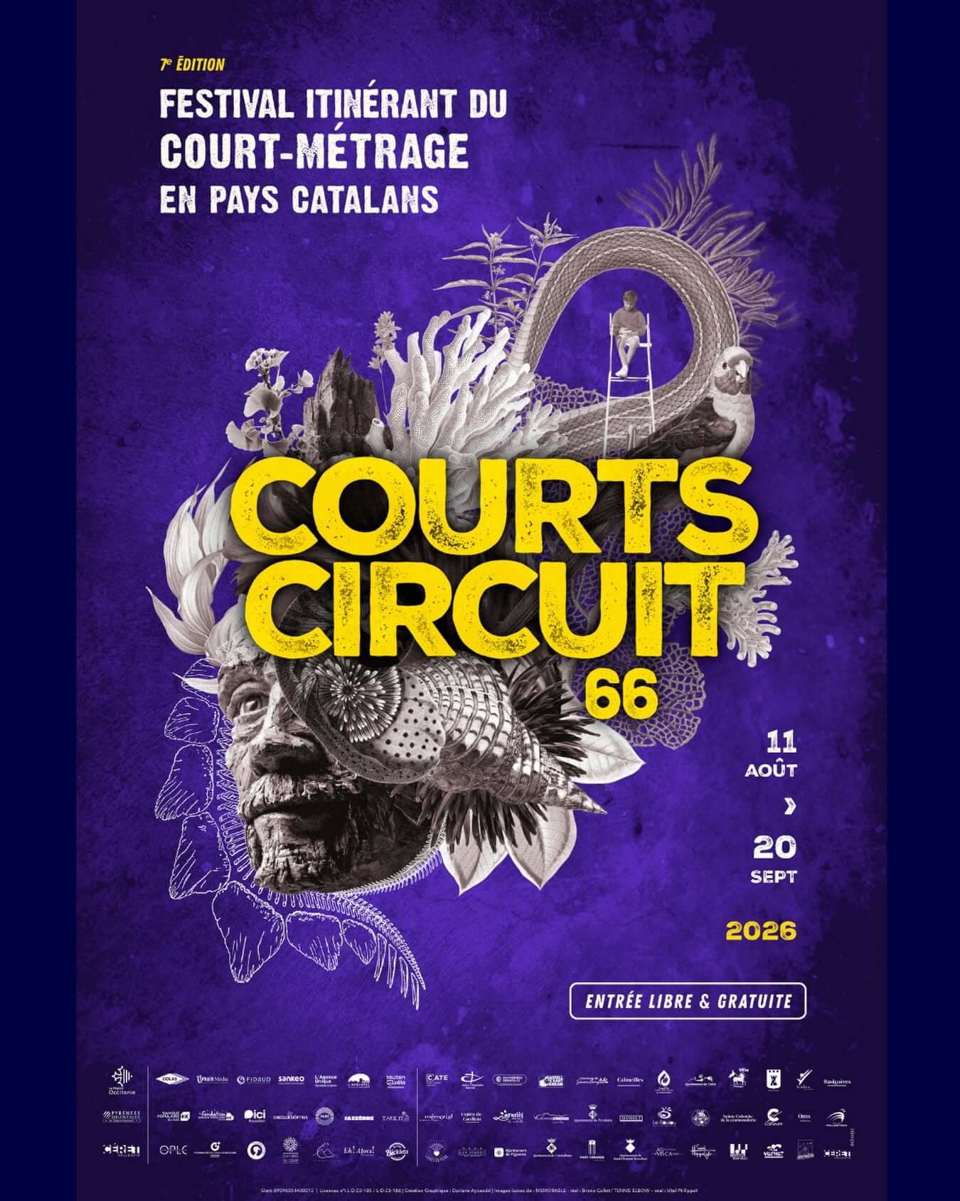 courts circuit 66